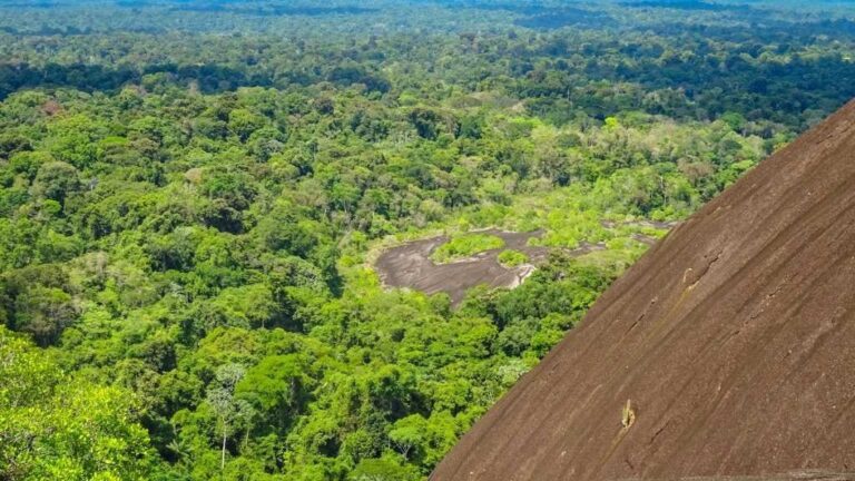 Central Suriname Nature Reserve - Unesco World Heritage